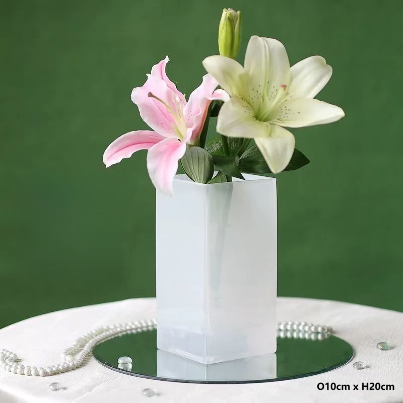 Frosted Glass Vase 3