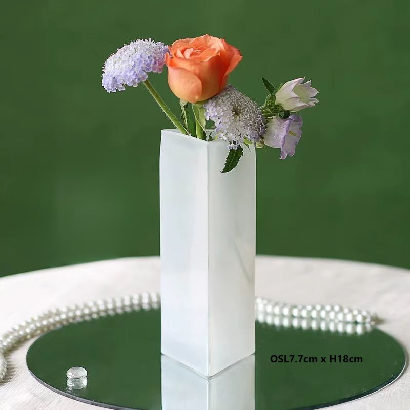 Frosted Glass Vase 4