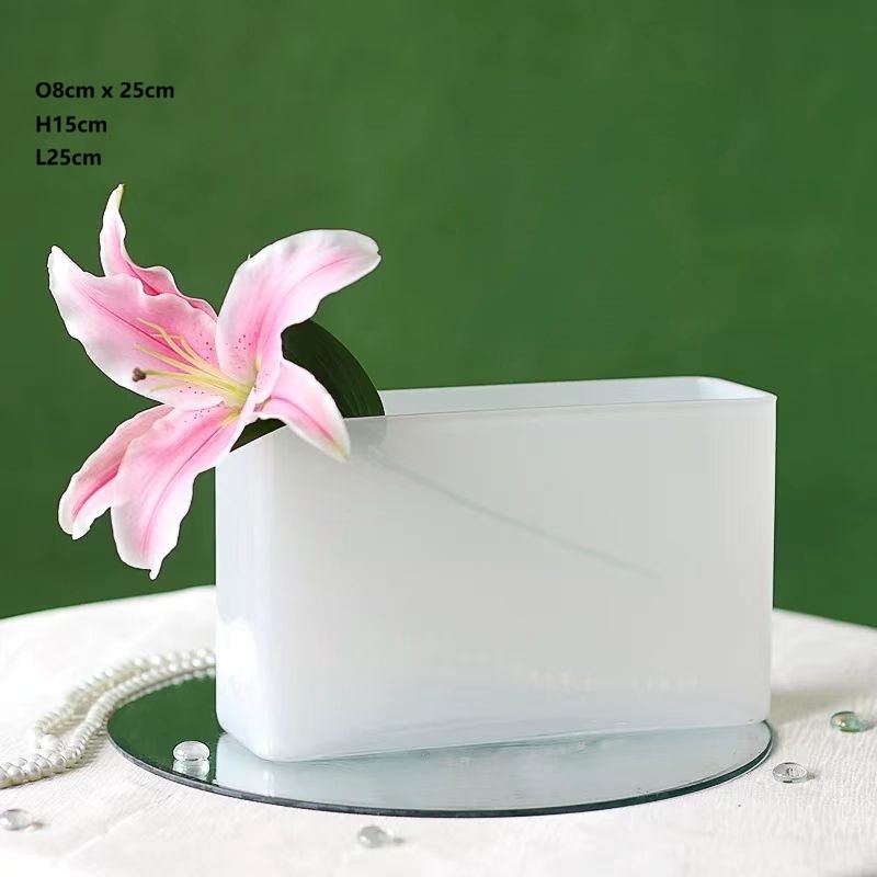 Frosted Glass Vase 5