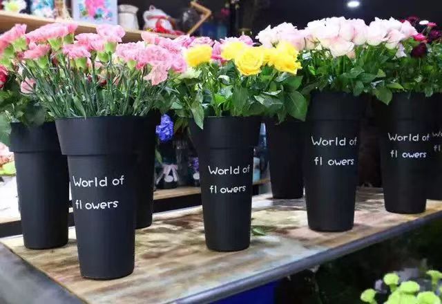 Minimalist Plastic Flower Revival Bucket 5